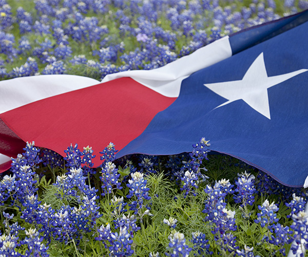 Texas Flag